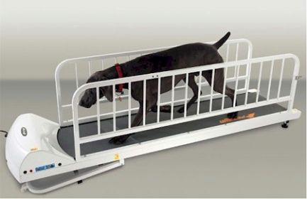 pr725e-dog-treadmill-lifestyle.jpg