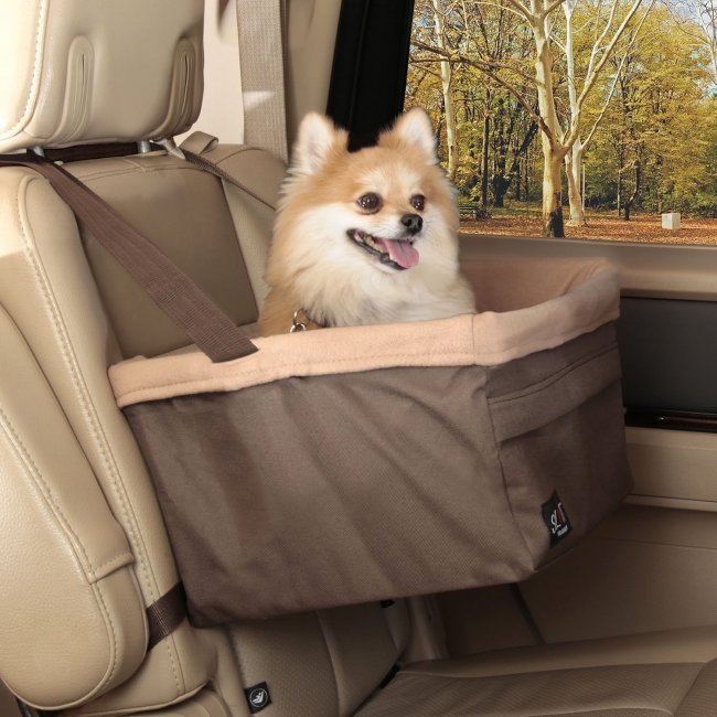Elevated Small Dog Car Booster Seat – Secure Pet Travel Seat with Washable Liner & Safety Leash (Up to 12 lbs.) (Option: Medium)