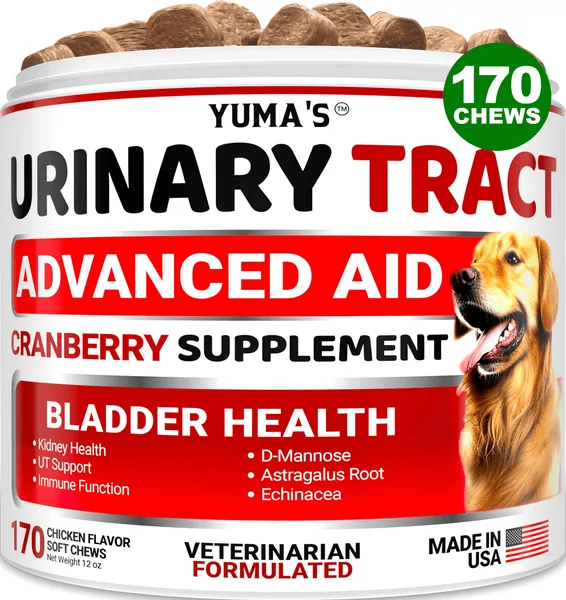 Dog UTI Treatment 170 Treats Cranberry Supplement For Dogs Bladder Control For Dogs (Option: 1pc)