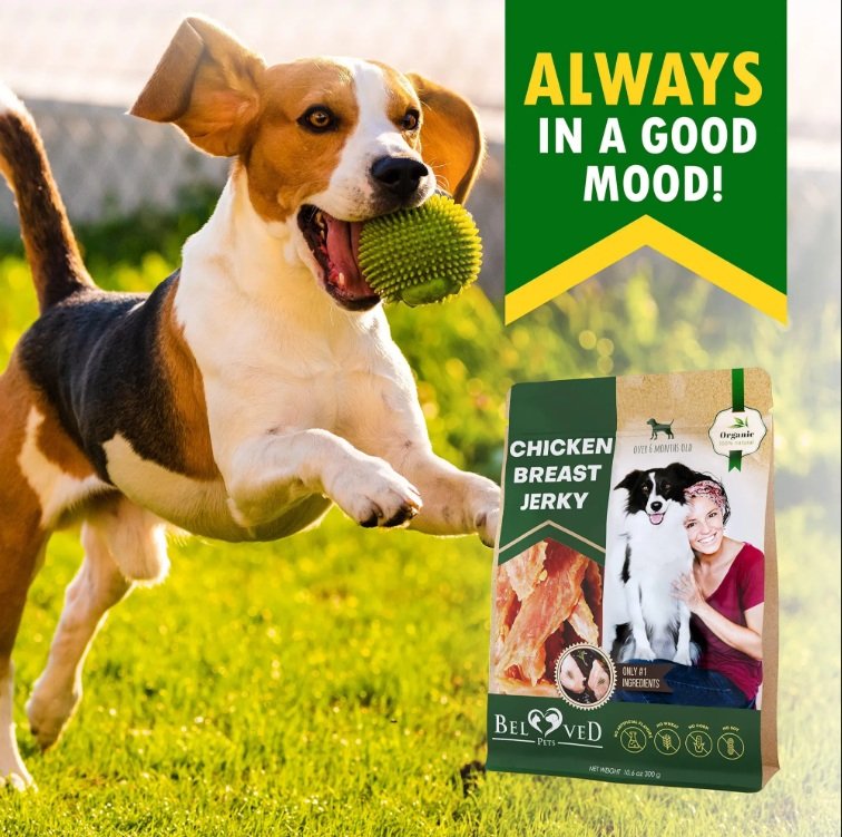 Chicken Jerky Dog Treats All Natural And Organic Healthy Snacks For Large & Small Dogs Grain Free And High Protein Human Grade Pet Chews 300 Gram (Option: Beloved Pets)