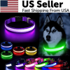LED Adjustable Dog Collar – Light Up, Waterproof Safety Collar for Night Visibility