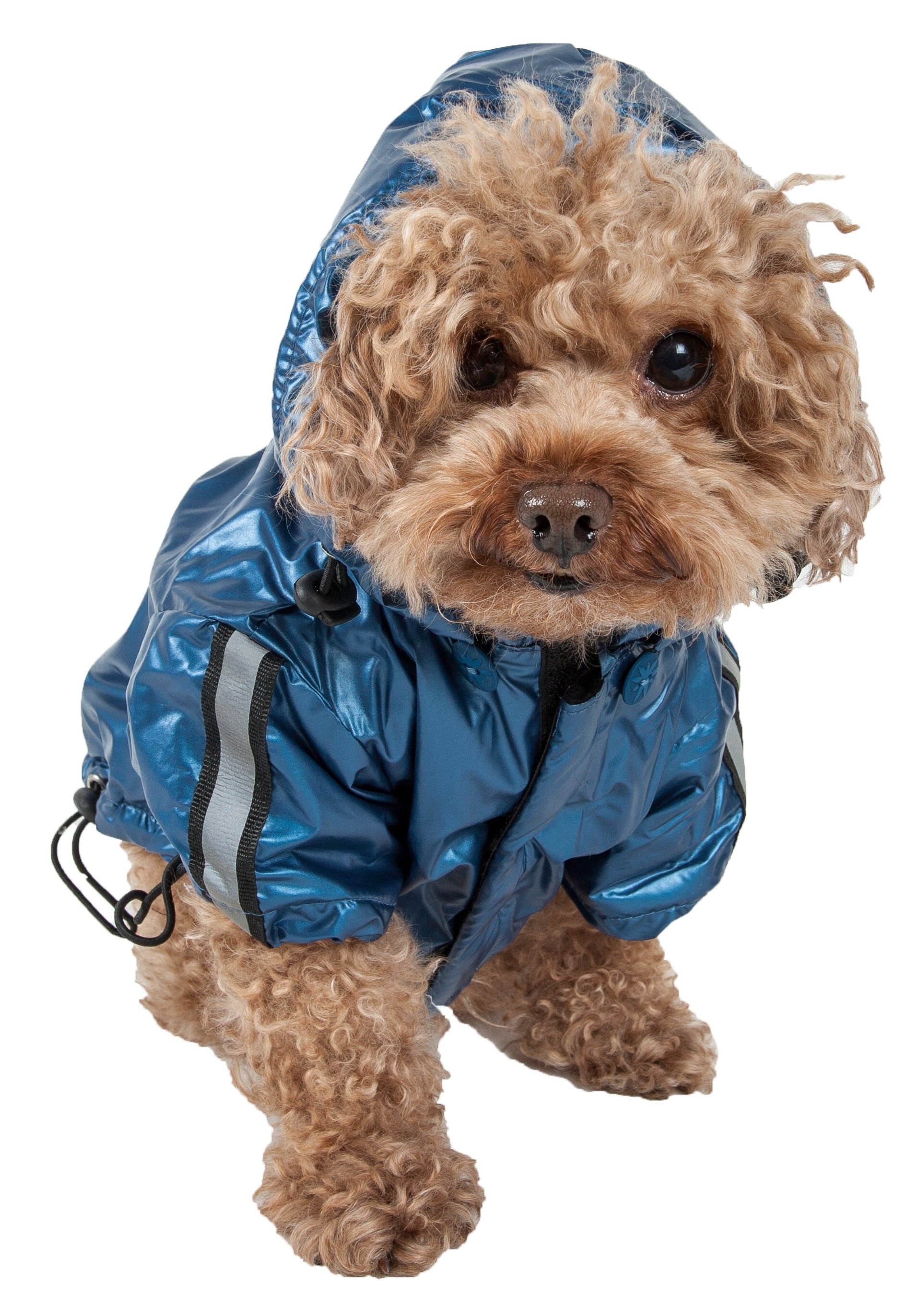 Reflecta-Sport Adjustable Weather-Proof Pet Windbreaker Jacket (size: medium)