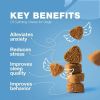 Calming Treats for Dogs – Hemp Calming Chews for Dog Anxiety Relief with L-Theanine, Chamomile & Valerian Root, Beef Flavor, All Breeds & Sizes
