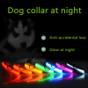 LED Adjustable Dog Collar – Light Up, Waterproof Safety Collar for Night Visibility