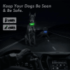 LED Adjustable Dog Collar – Light Up, Waterproof Safety Collar for Night Visibility