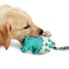 Rubber Dental Chew Toy for Small Dogs – Interactive Puppy Toothbrush Stick