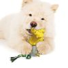 Rubber Dental Chew Toy for Small Dogs – Interactive Puppy Toothbrush Stick