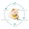 Rubber Dental Chew Toy for Small Dogs – Interactive Puppy Toothbrush Stick